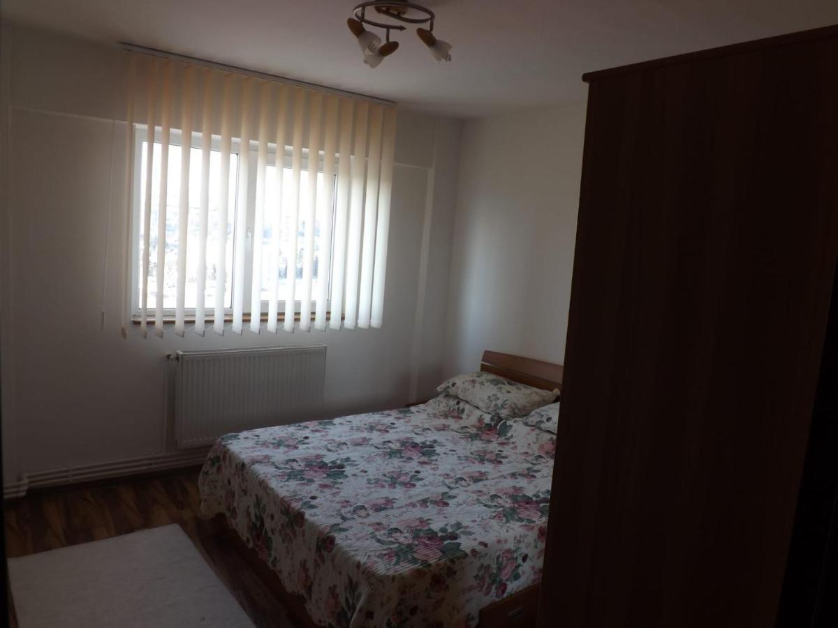 Mountain View Apartment Campulung Ngoại thất bức ảnh